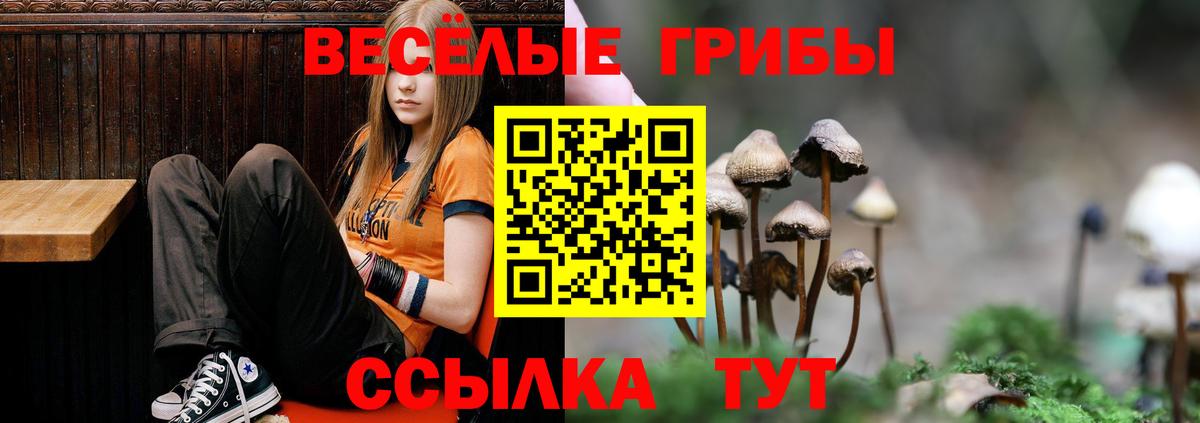 Галлюциногенные грибы мицелий  Галлюциногенные грибы MAGIC MUSHROOMS  Вход с VPN  Шали 